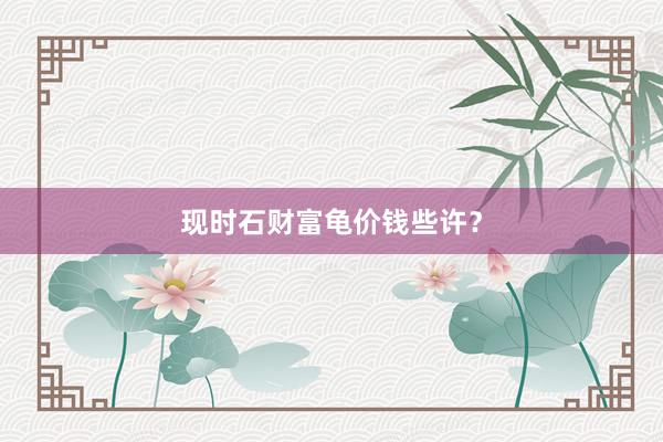 现时石财富龟价钱些许？